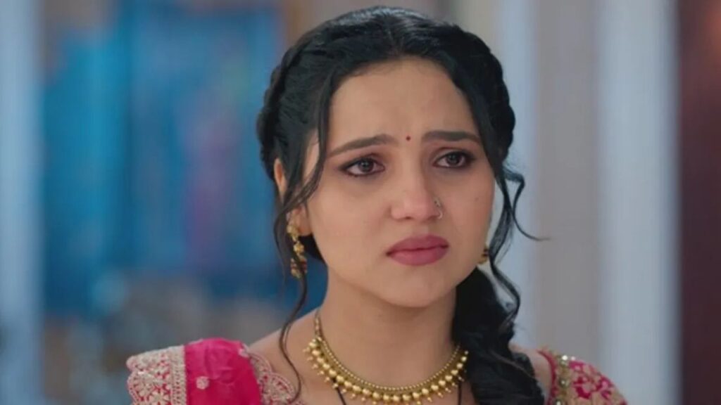 Vasudha Today Episode 26th February 2025