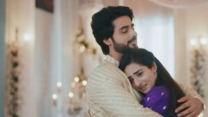 Tu Hi Re Dil Mein Today Episode 11 July 2026 1 (50)